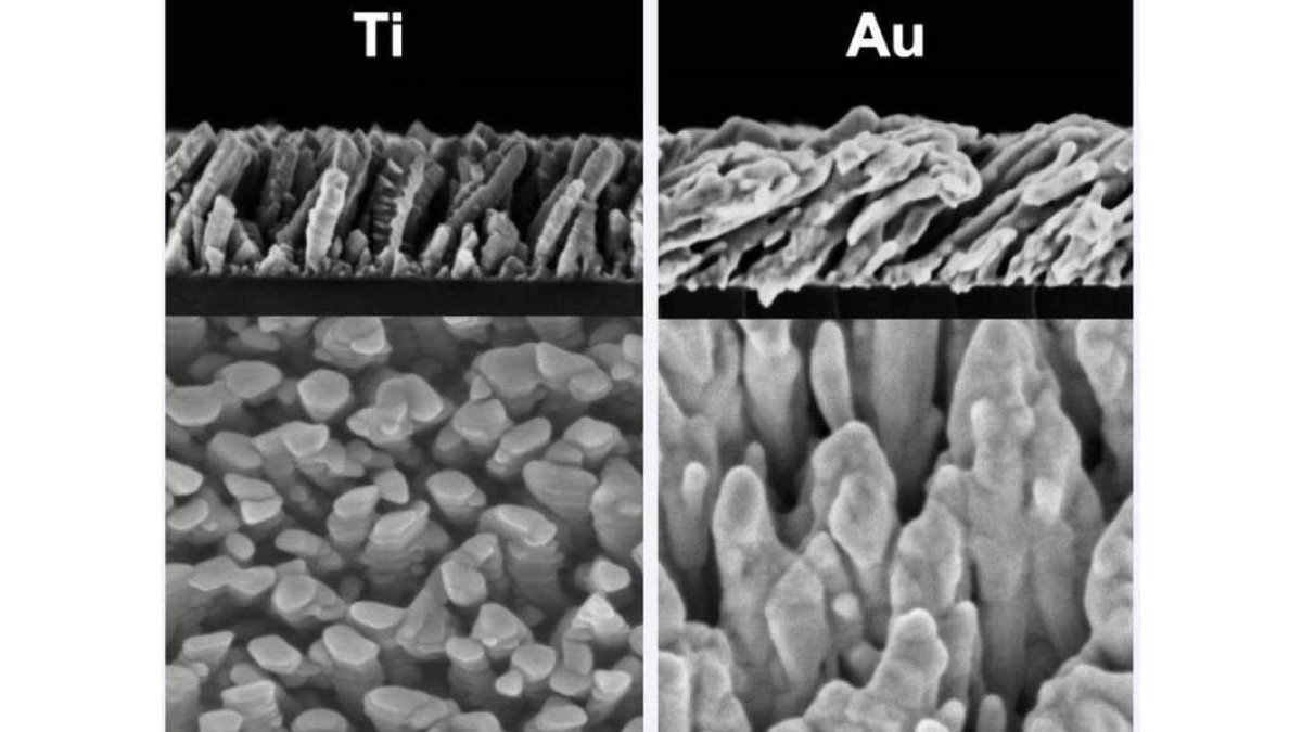 Imágenes microscópicas de bioelectrodos con nanocolumnas de titanio y oro. csic