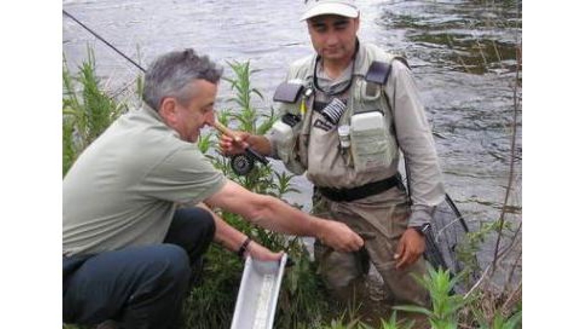 El agente forestal mide una captura antes de ser devuelta al agua.