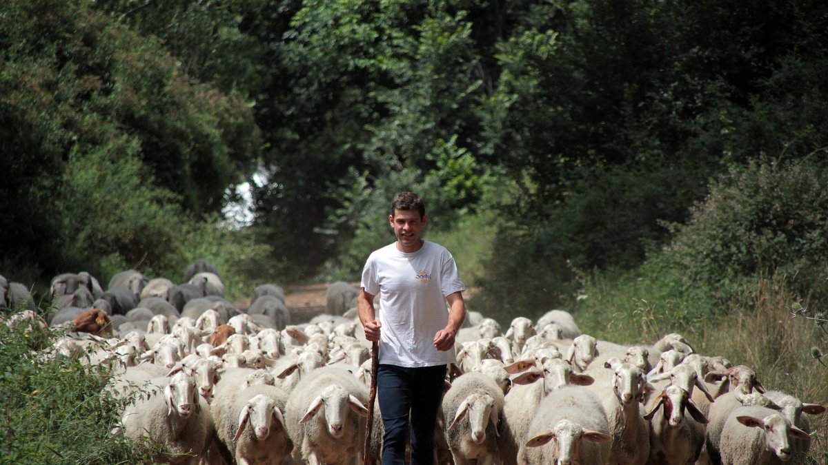 Javier Manzano, ganadero de ovejas y productor de los quesos. PEIO GARCÍA