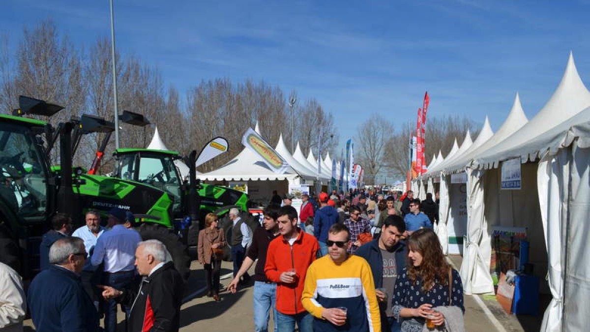 Imagen de archivo de la Feria de Febrero de Valencia de Don Juan. MEDINA