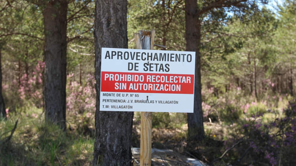 El nuevo decreto trata de proteger los derechos de los propietarios de los terrenos. SECUNDINO PÉREZ