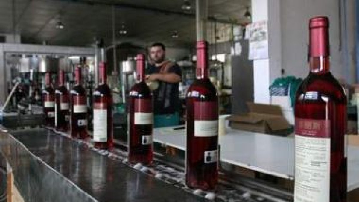 Botellas etiquetadas con caracteres chinos en la planta embotelladora de la cooperativa de Cacabelos