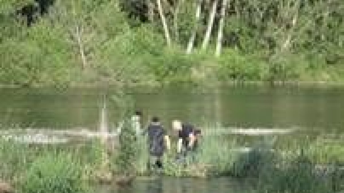 Bomberos y Guardia Civil colaboraron para recuperar el cuerpo de las aguas del Órbigo