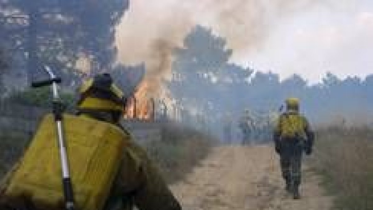 Imagen de uno de los incendios registrados en la provincia de León en los últimos meses