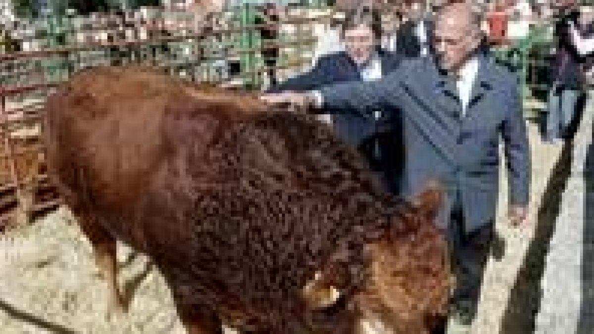 El alcalde del Barco de Ávila y Fernández Santiago, ayer con un toro