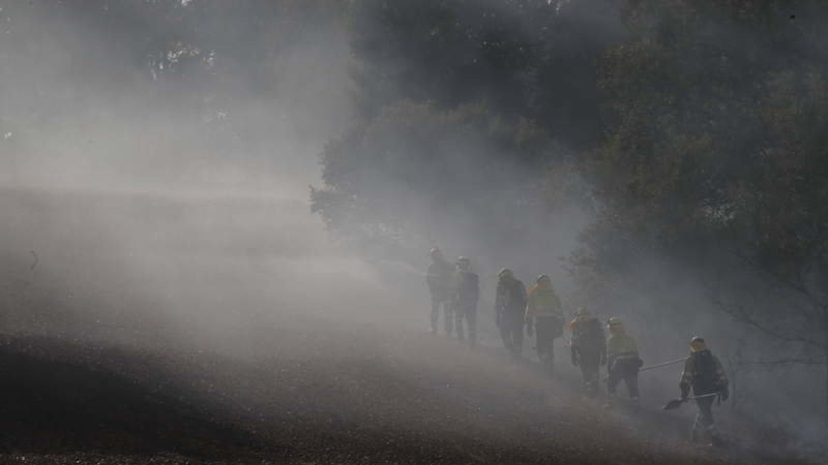 Miembros del dispositivo de extinción se dirigen al frente de fuego, en el incendio del domingo en Villaquilambre. RAMIRO.