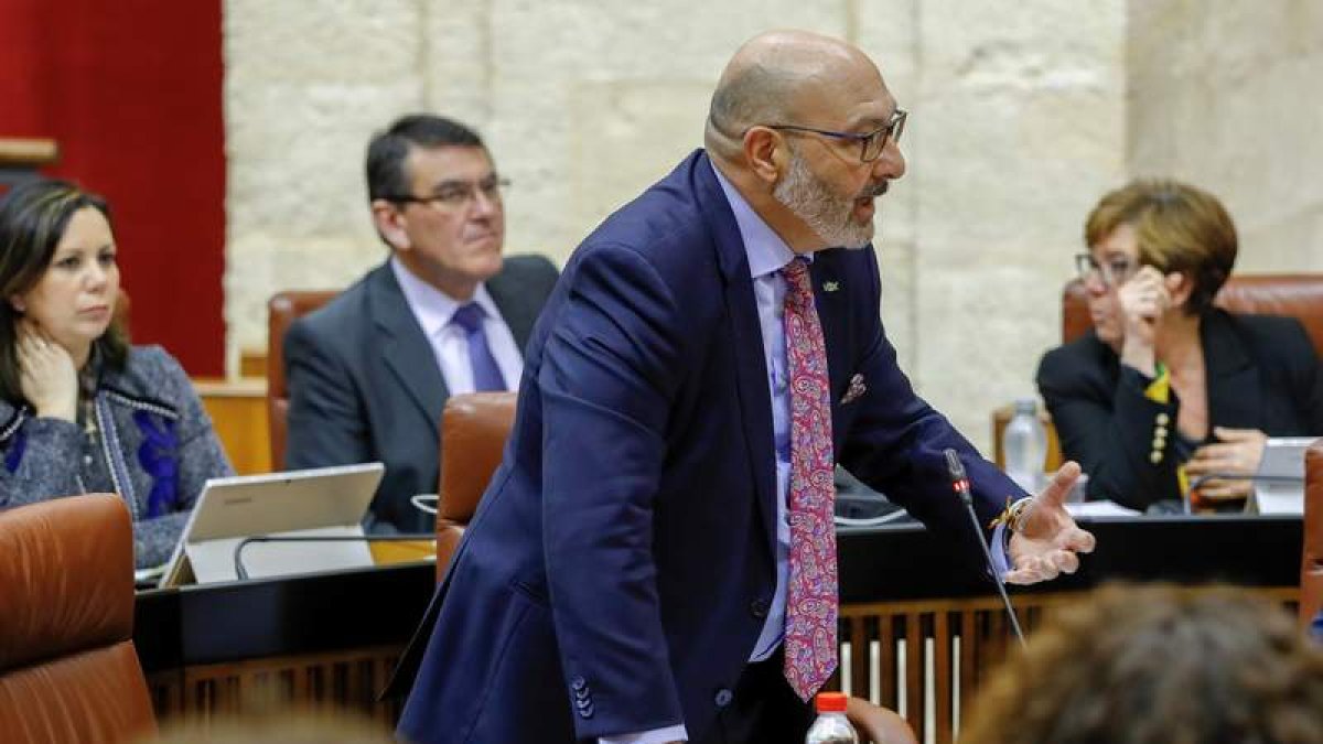 El portavoz de Vox, Alejandro Hernández, en una intervención en el Parlamento andaluz. JULIO MUÑOZ