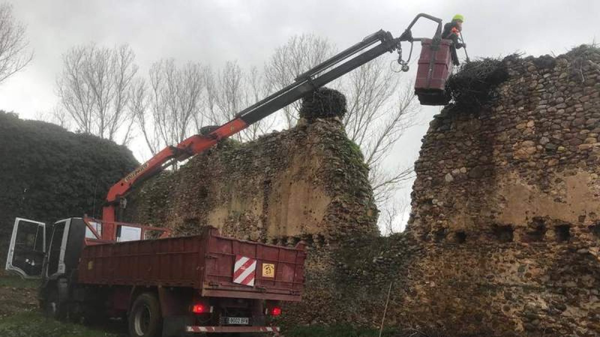 La empresa Gonfer Construcciones se encargó de retirar los nidos del castillo. DL