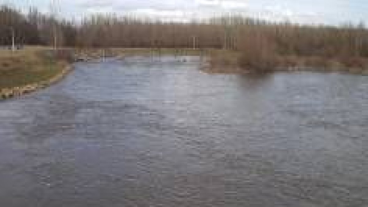 Aspecto del río Esla, con su caudal significativamente alto, a su paso por Villarroañe