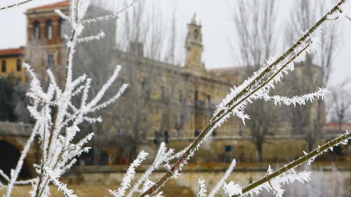 En las próximas horas se avecina un frío intenso en la provincia