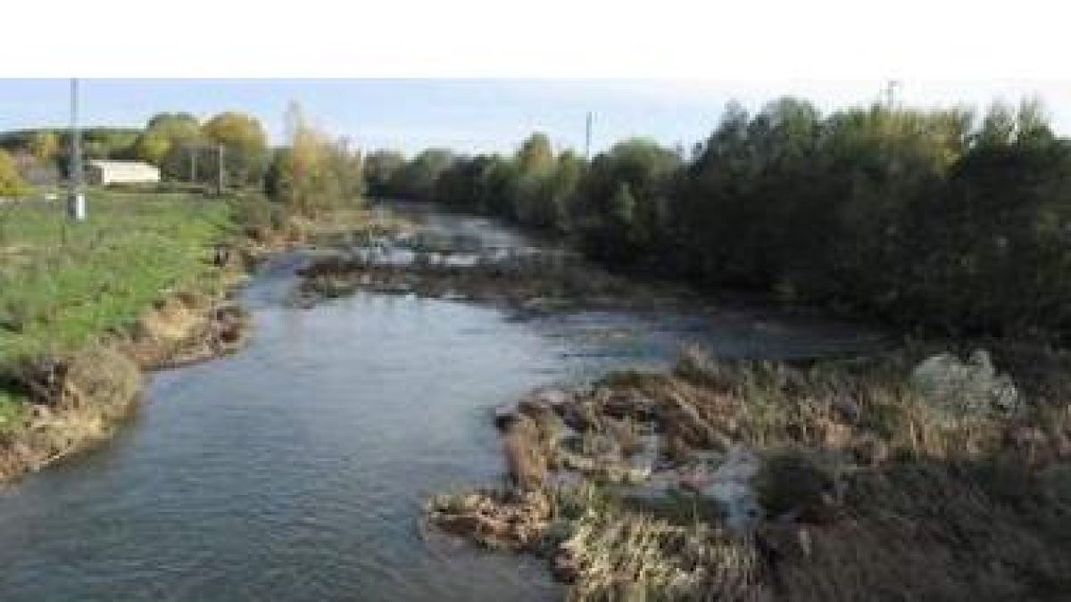 El río Tuerto a su paso por la localidad de La Bañeza, en una imagen de archivo.