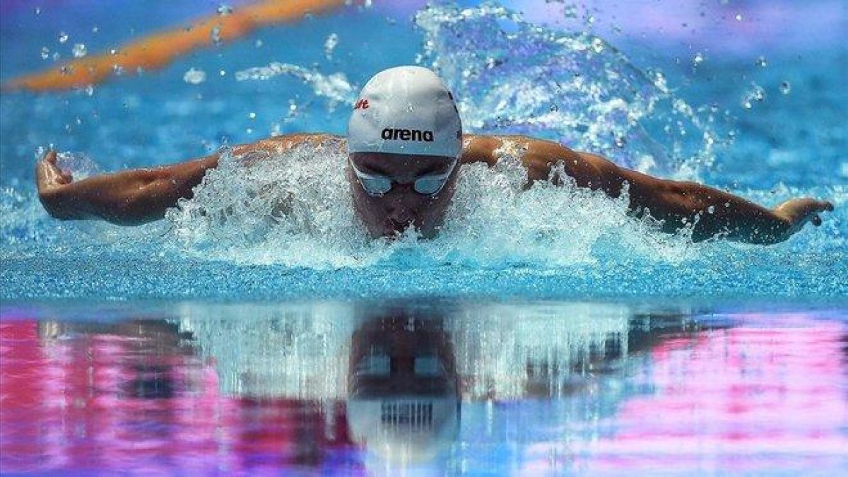 Milak, en la prueba en que batió el récord de 200 mariposa de Phelps.