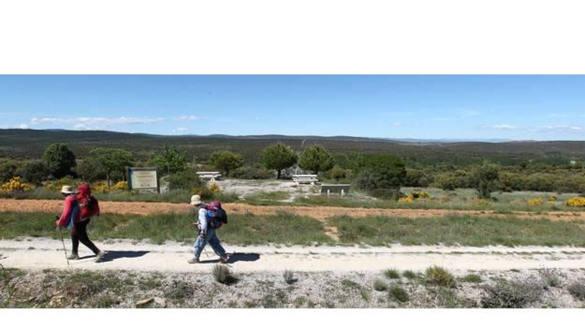 La mujer caminaba por las proximidades de la ruta