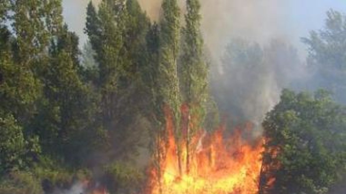 Un efectivo del Cuerpo de Bomberos de León trata de atajar las llamas en el foco más importante, jun