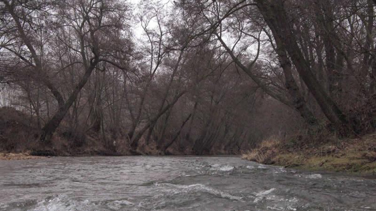 El río Tuerto a su paso por La Bañeza.