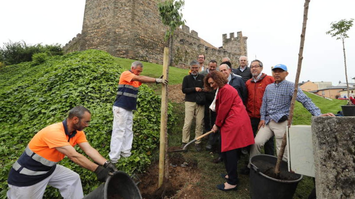 La alcaldesa y la delegación nipona participaron en la plantación de tres cerezos, como símbolo de amistad, frente al Castillo. L. DE LA MATA