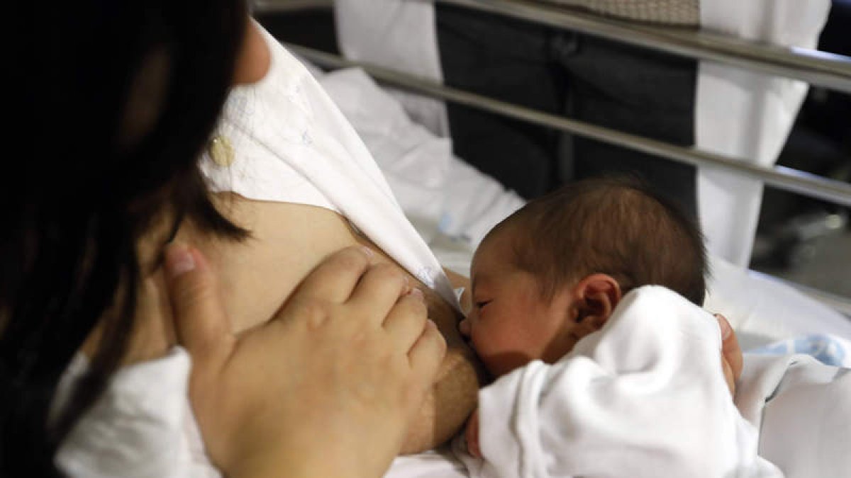 El agarre al pecho en las primeras horas de vida favorece la lactancia materna. MARCIANO PÉREZ