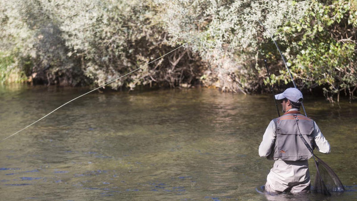 Un pescador en un río la pasada temporada. FERNANDO OTERO