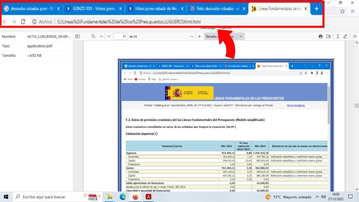 Captura de pantalla enviada por el PSOE de Valdelugueros pra denunciar mala praxis en el Ayuntamiento del municipio al registrar un acta con rastros de pornografía. DL