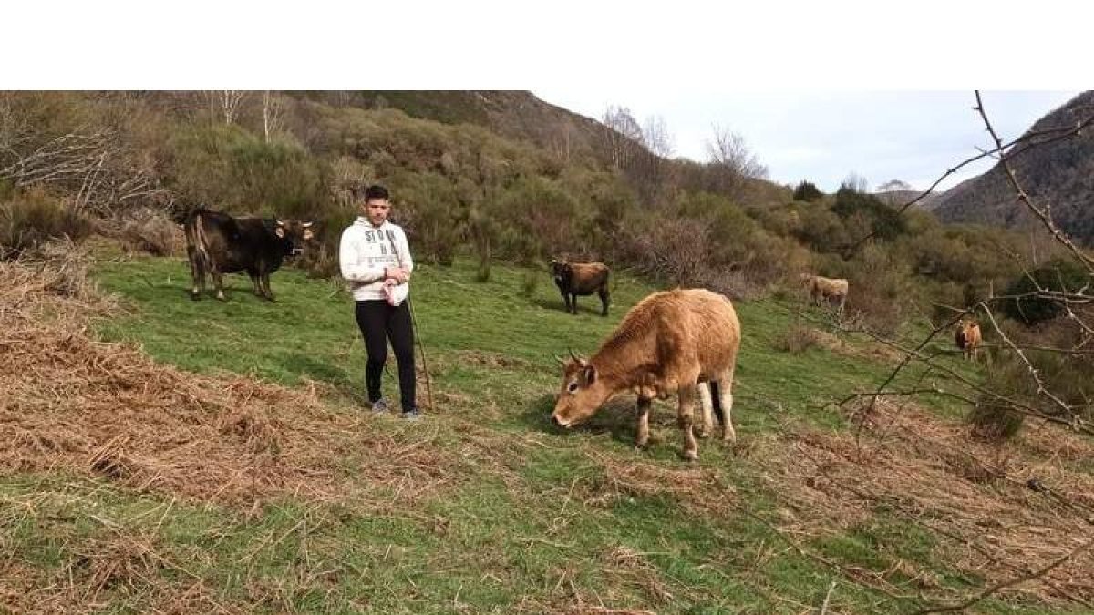 Baldomero López con parte de su ganadería. DL