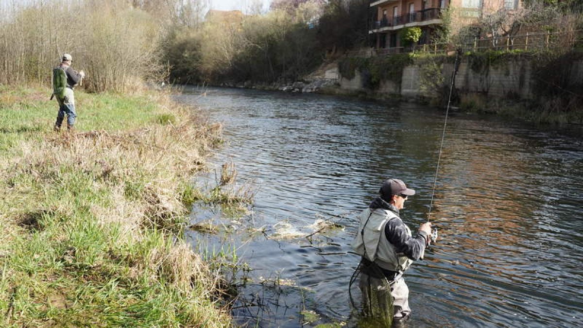 El inicio de la temporada de pesca en los ríos de León no ha podido ser más optimista. J. NOTARIO