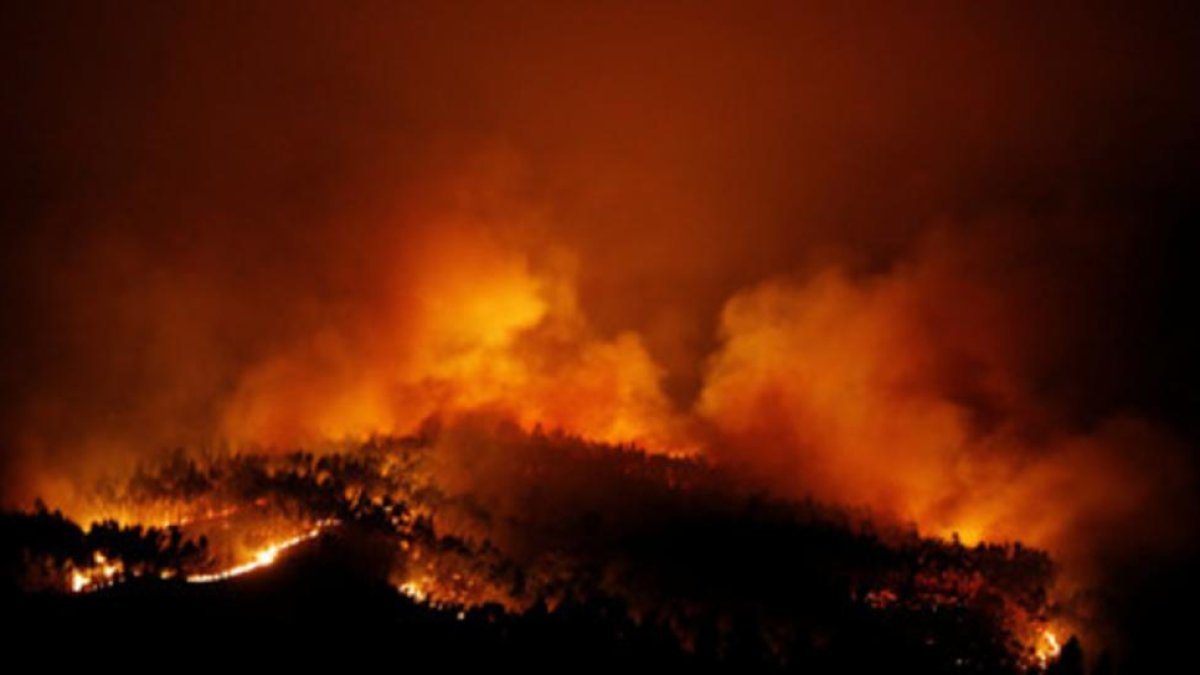 Imagen del incendio de Portugal.