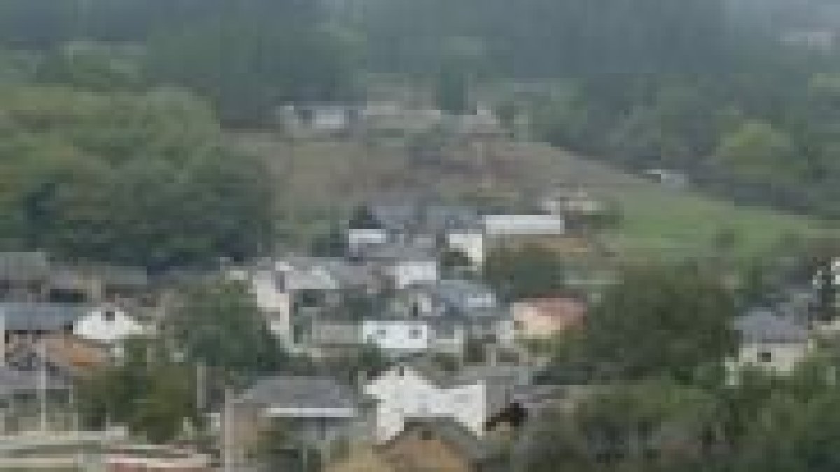 El municipio de Sancedo dispone de 800 hectáreas de pinares