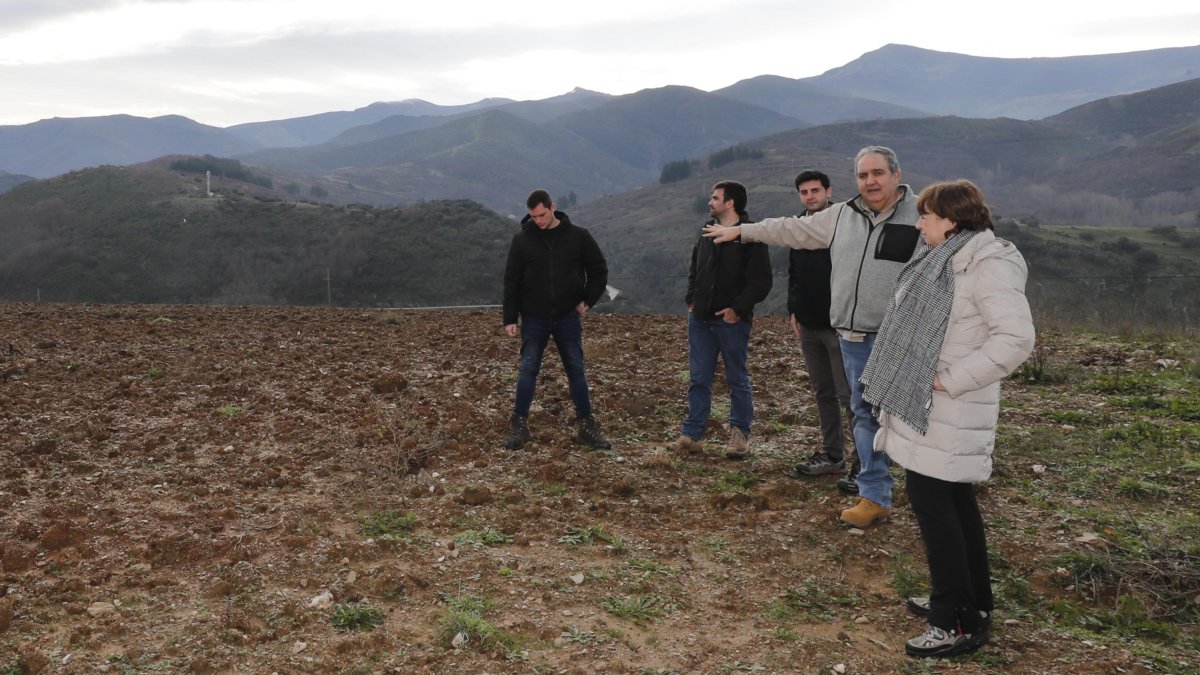 El oftalmólogo Jesús Merayo señala su finca experimental a los cuatro investigadores de la Universidad de Córdoba, situada en una loma por encima de San Esteban de Valdueza. ANA F. BARREDO