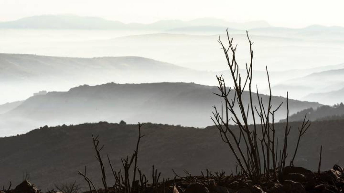 Vista general desde la cresta de la sierra del Pico Zapatero, que divide a las dos zonas afectadas por el incendio de Navalacruz (Ávila), este martes. EFE/Raúl Sanchidrián