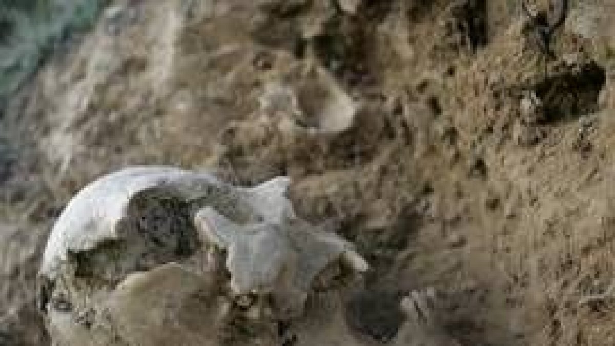 El cráneo se encuentra sobre la cubierta de tierra de una cueva tradicional de la zona