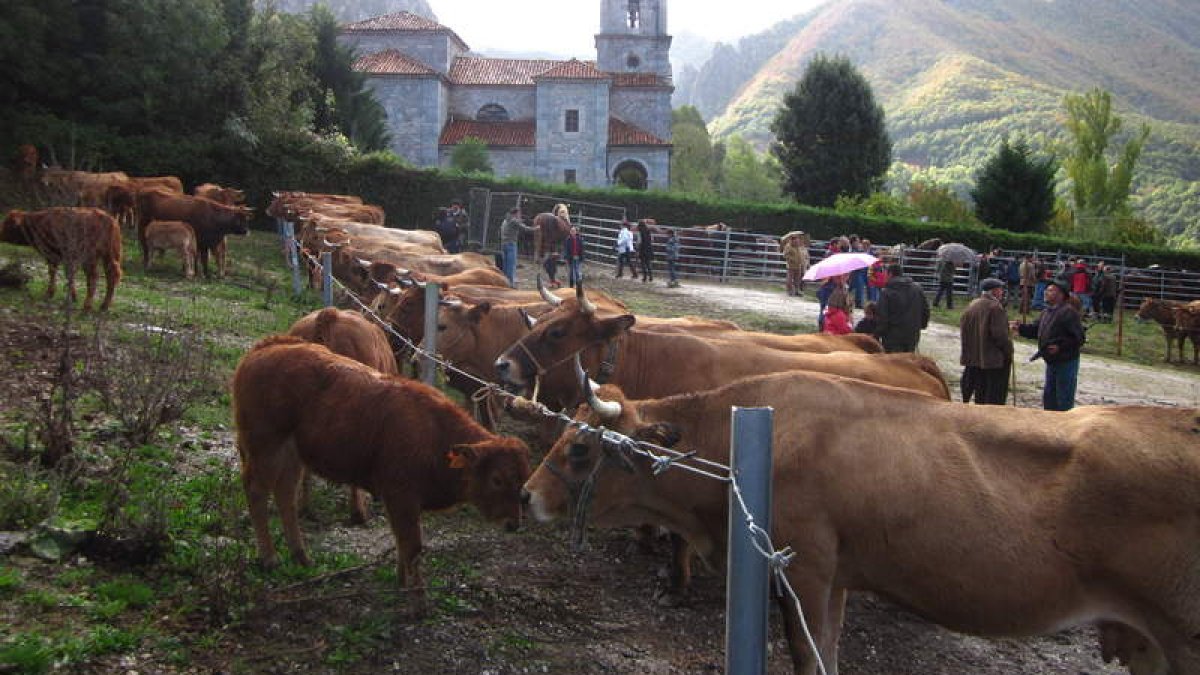 La feria reunió a un centenar de reses de vacuno, equino y ovino.