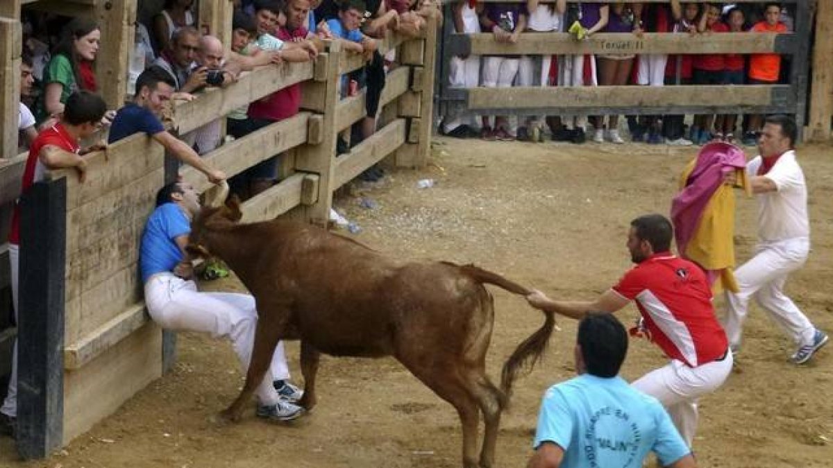 Momento en que el joven de 18 años fallecido ayer recibe la cornada en el abdomen, el pasado domingo.