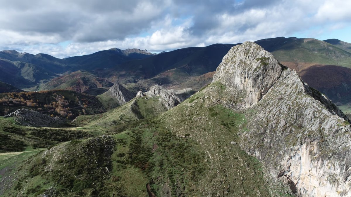 Proyecto de reforestación de Land Life en Canseco. LAND LIFE