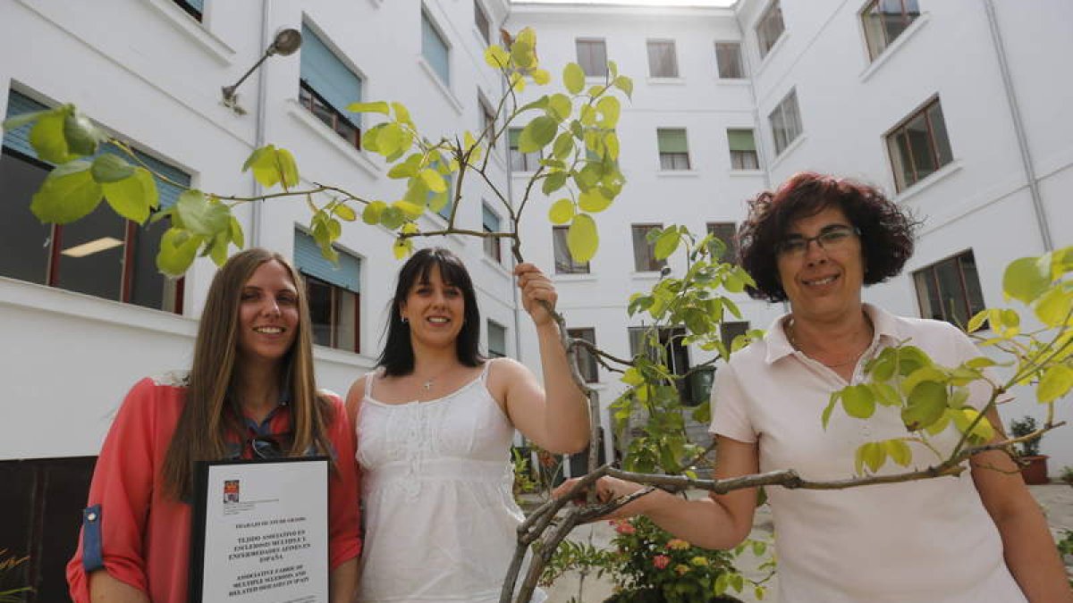 Andrea Gutiérrez, autora del trabajo, Lorena López, presidenta de Facalem y Lucía Llamazares, profesora de Trabajo Social.