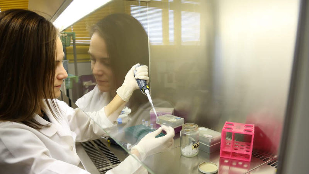 Imagen de archivo de una investigadora en la Universidad de León. SECUNDINO PÉREZ