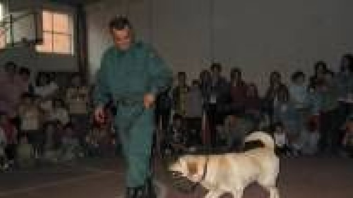 Un agente pasea a uno de los perros antes de una exhibición