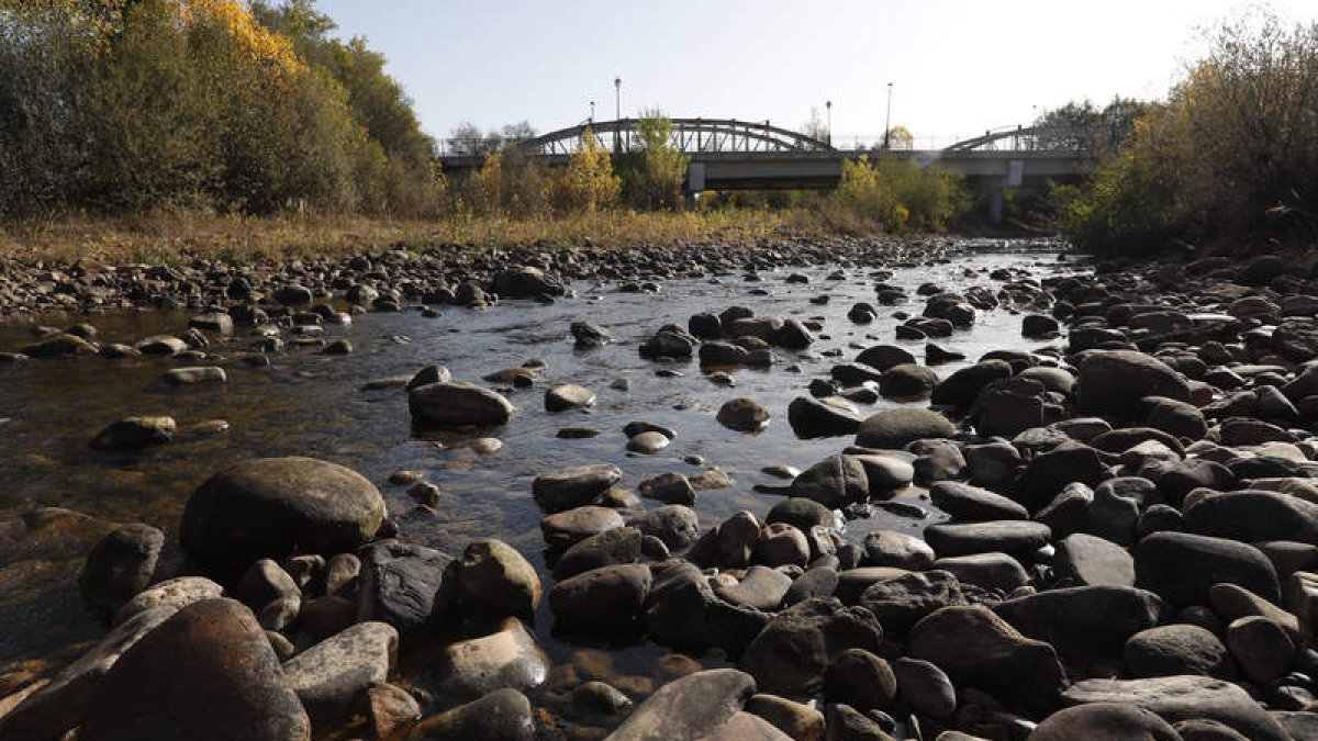 El río Eria lleva meses con problemas de agua debido a la falta de precipitaciones. JESÚS F. SALVADORES