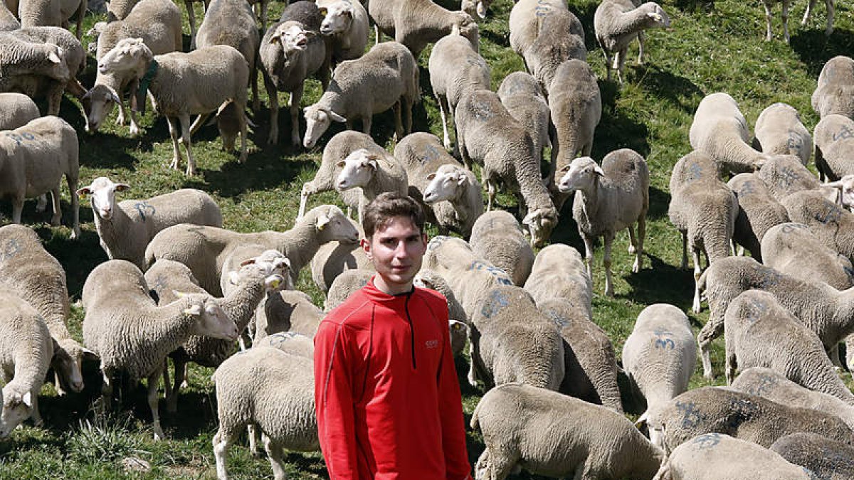 Manejar el rebaño, en el monte o en la dehesa, requiere de destreza y paciencia. MARCIANO PÉREZ