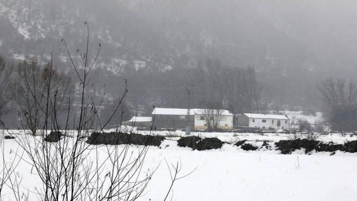 Efectos de una nevada en el mes de enero en Murias de Paredes.