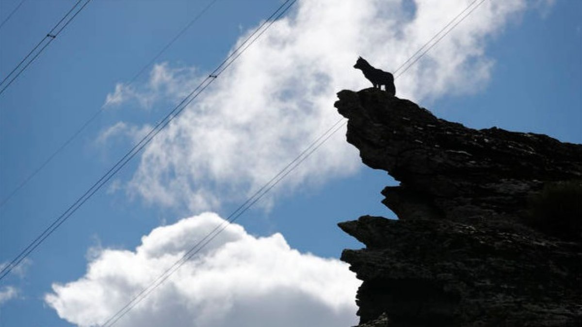 Escultura de un lobo en el alto de la montaña en las proximidades de Buiza de Gordón. JESÚS F. SALVADORES