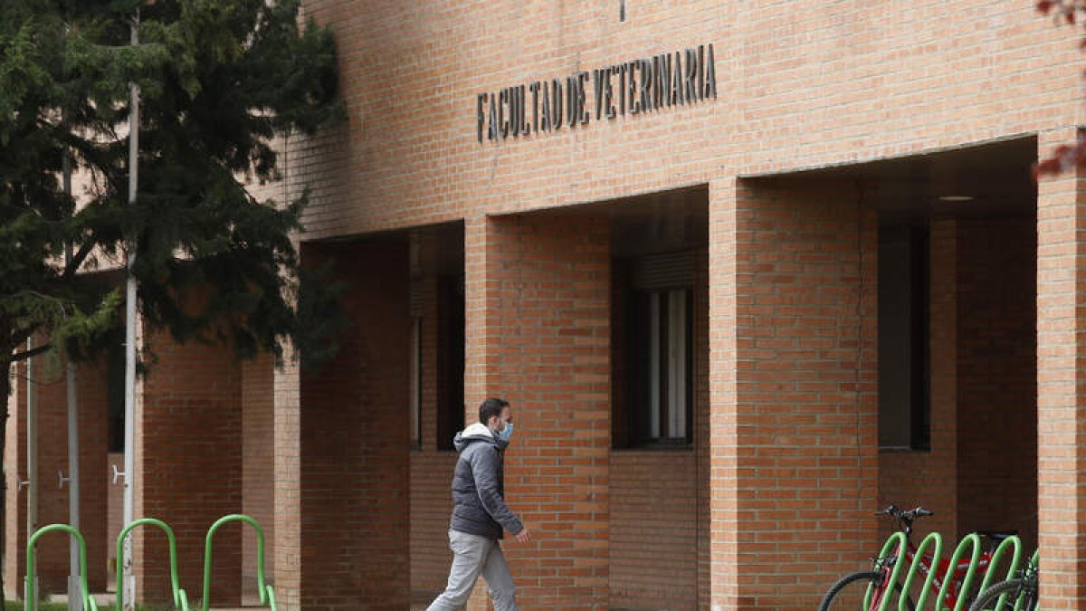 La Unidad de Investigación de Atención Primaria se asentará en la Facultad de Veterinaria. FERNANDO OTERO
