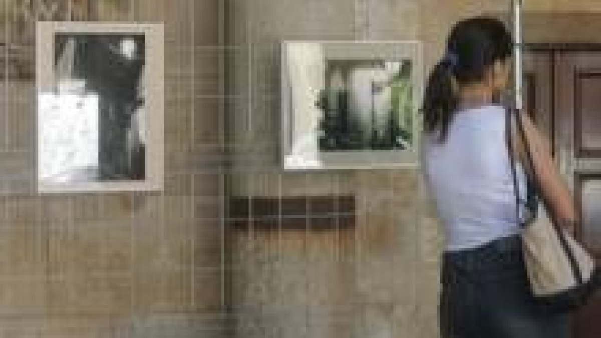 Muestra de la exposición fotográfica «focus» en el palacio de los Guzmanes
