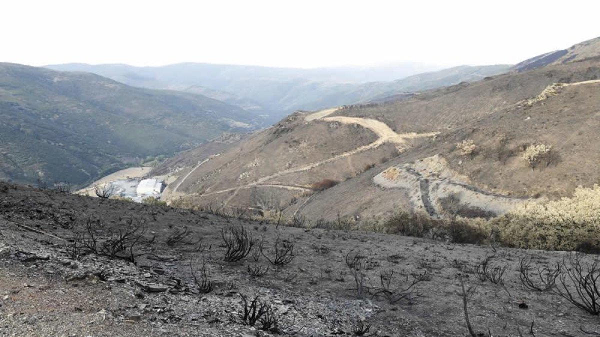 El incendio de la Cabrera fue el más devastador de todo 2017.