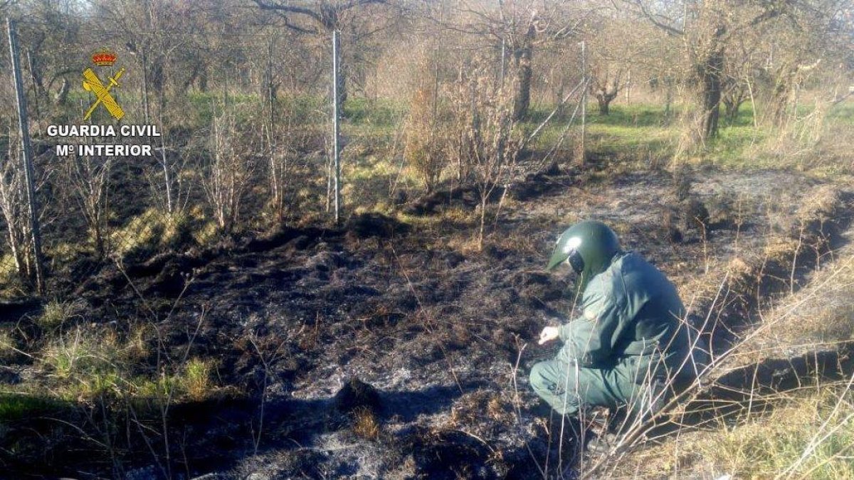 Agentes de la Guardia Civil insoeccionan el lugar del incendi