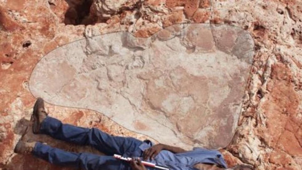 Una de las mayores huellas encontradas en Walmadany, en el noroeste de Australia.