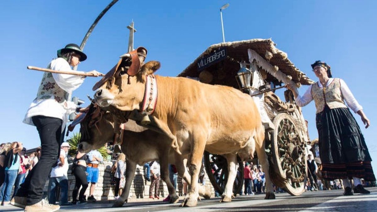 Carros engalanados en las fiestas de San Froilán del año pasado. FERNANDO OTERO