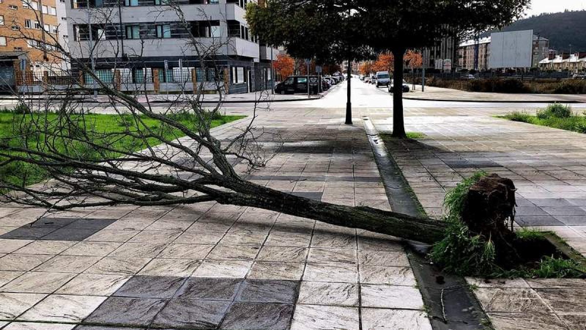 La imagen muestra uno de los efectos del temporal de lluvia en la zona de La Rosaleda. DL