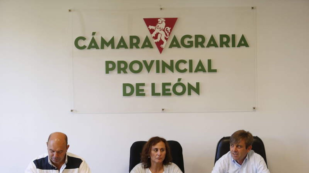 Arsenio García, presidente de la Cámara, a la derecha, junto a la vicepresidenta y el secretario