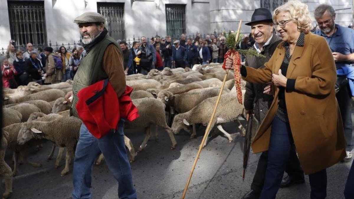 La alcaldesa de Madrid, Manuela Carmena, con los pastores y el rebaño de ovejas merinas trashumantes.