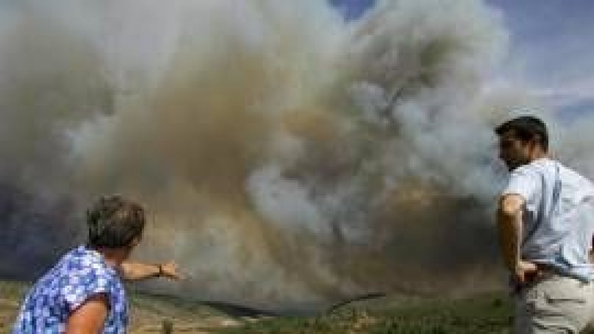 El siniestro comenzó en una zona de pinares resineros y pudo estar provocado por una barbacoa